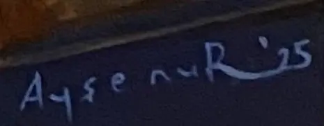  Ayşe Nur Günay İmzası