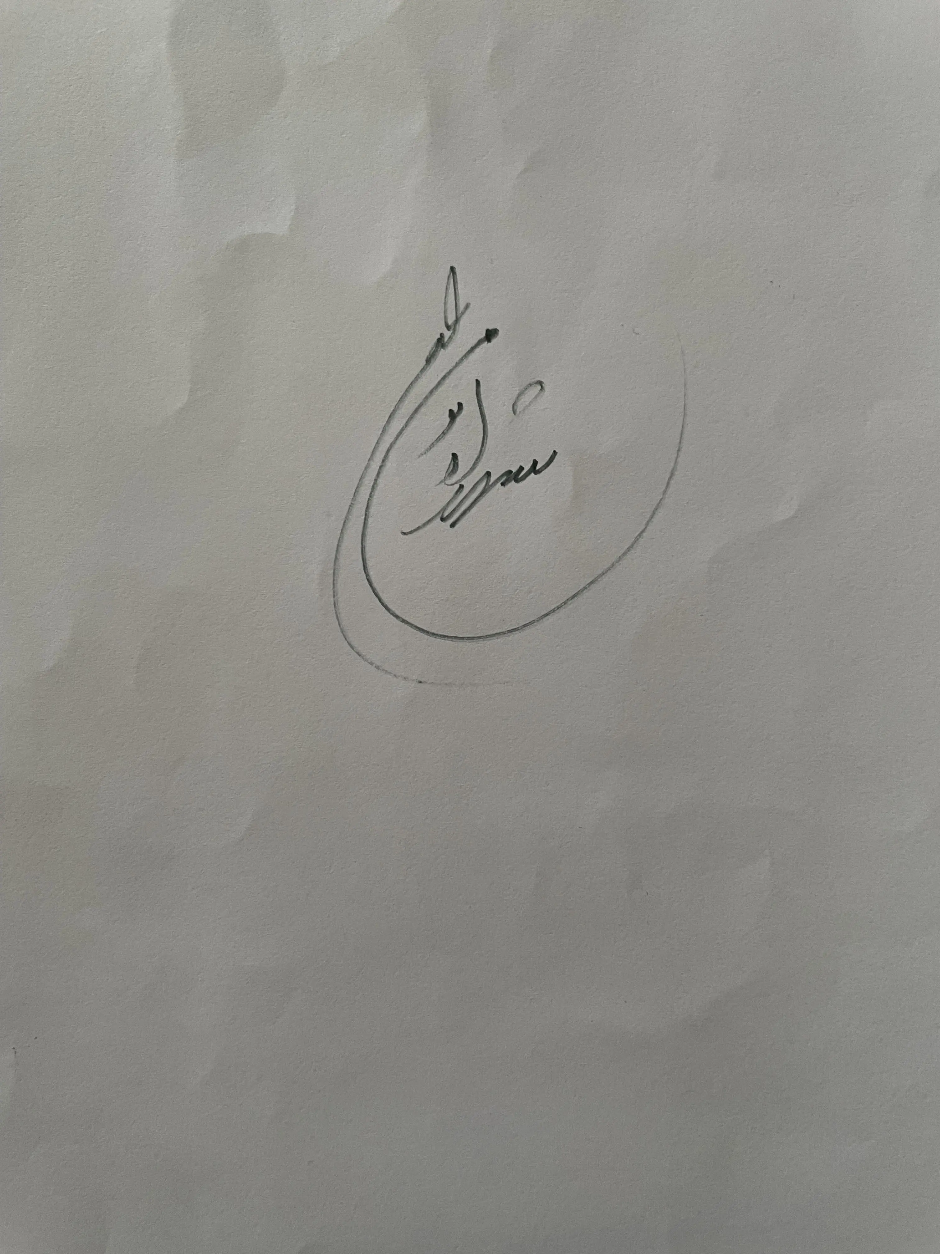 Shahrzad Momenzadeh İmzası