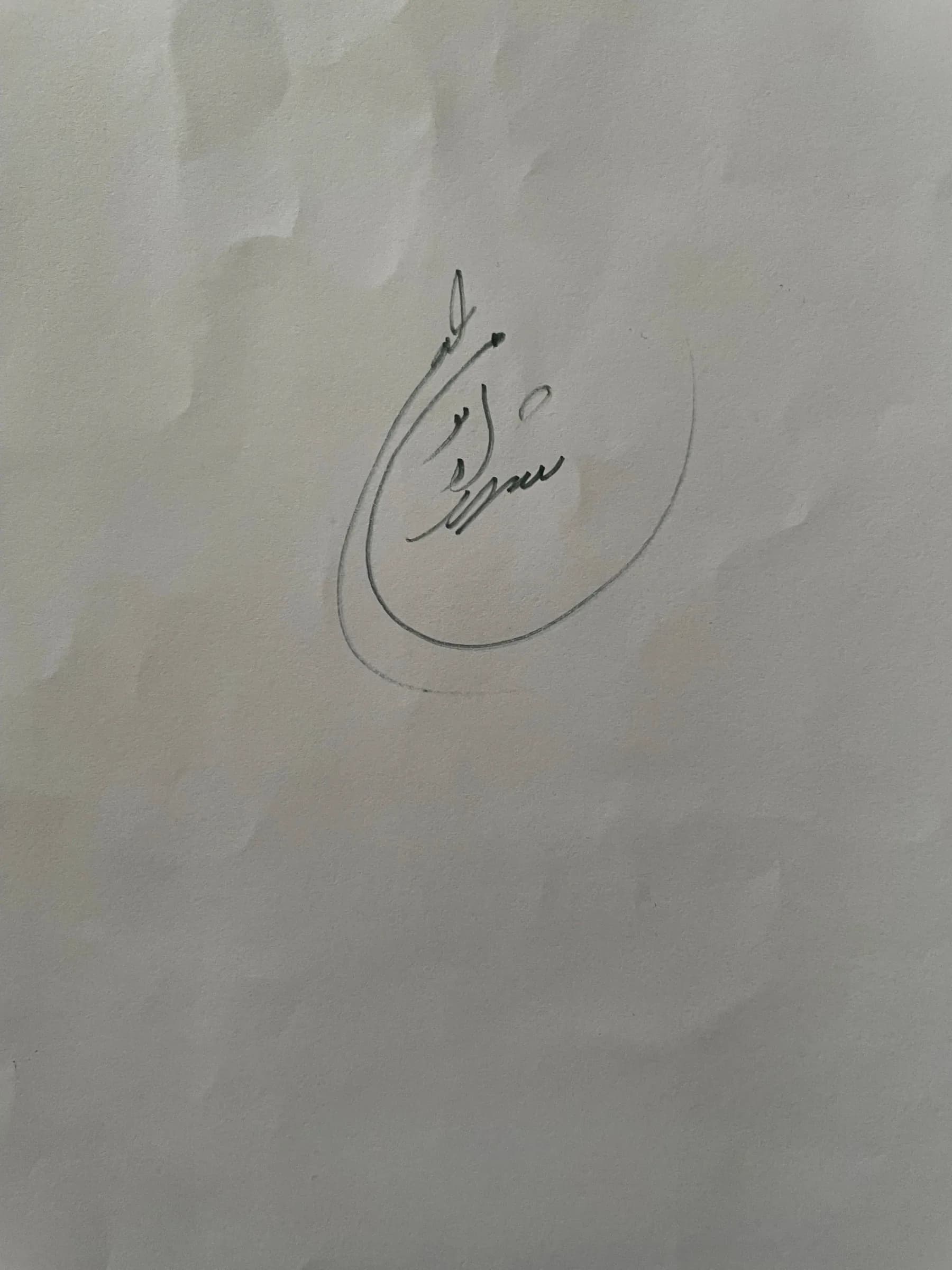 Shahrzad Momenzadeh imzası