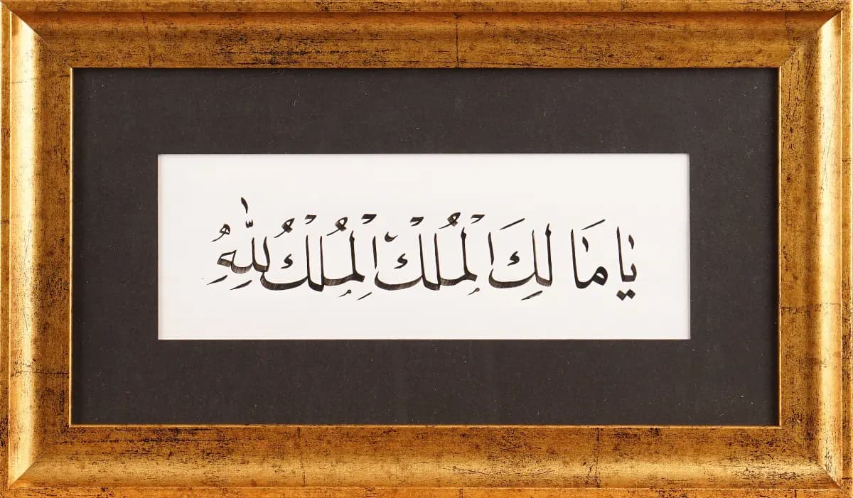 646- Abdurrahman Çelik