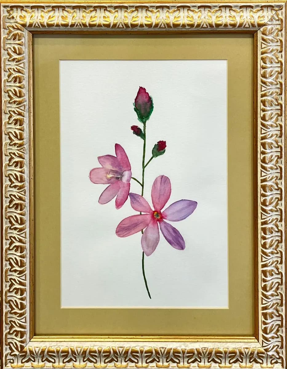 49- Merve Kahraman