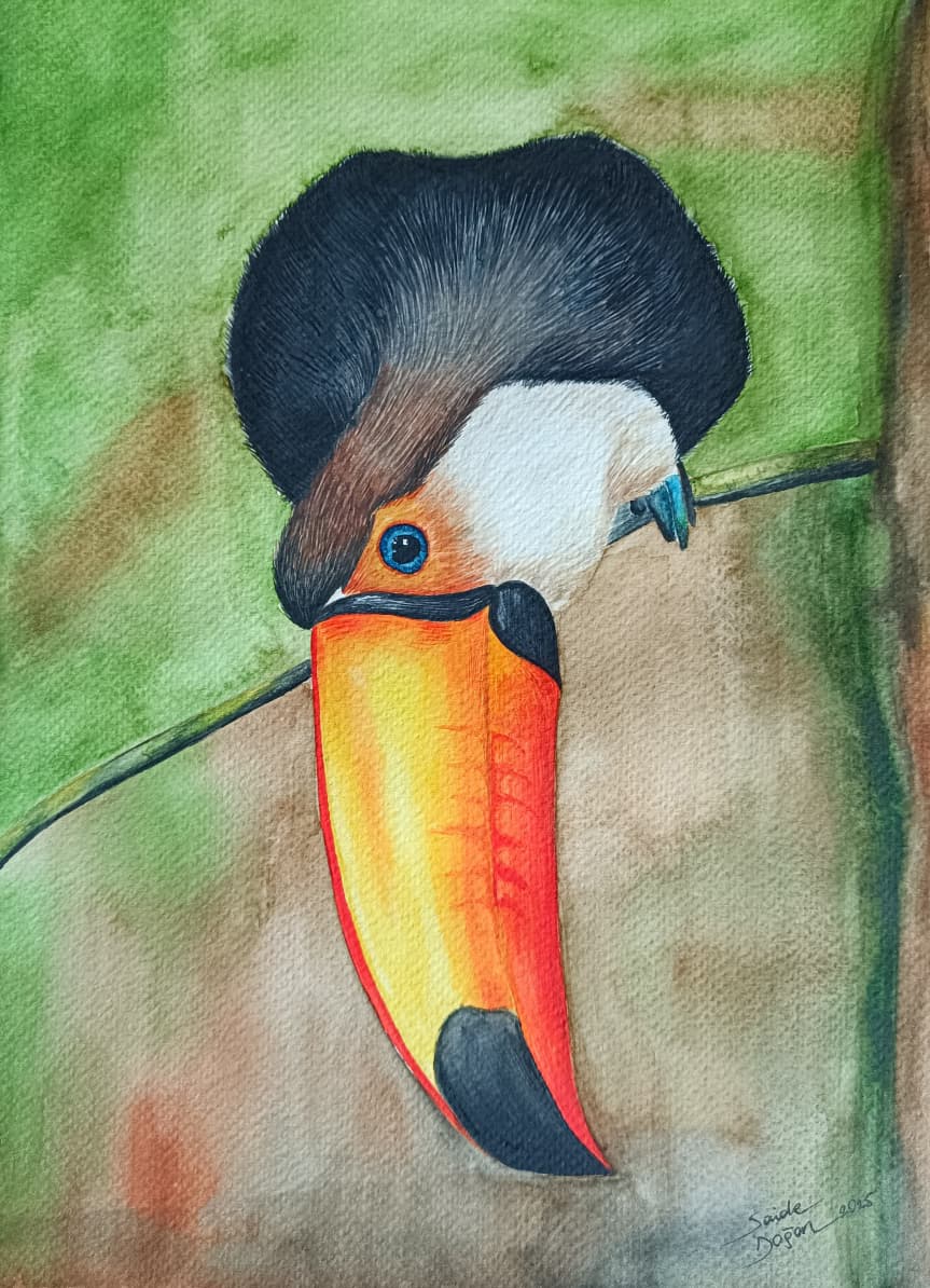 67- Tukan