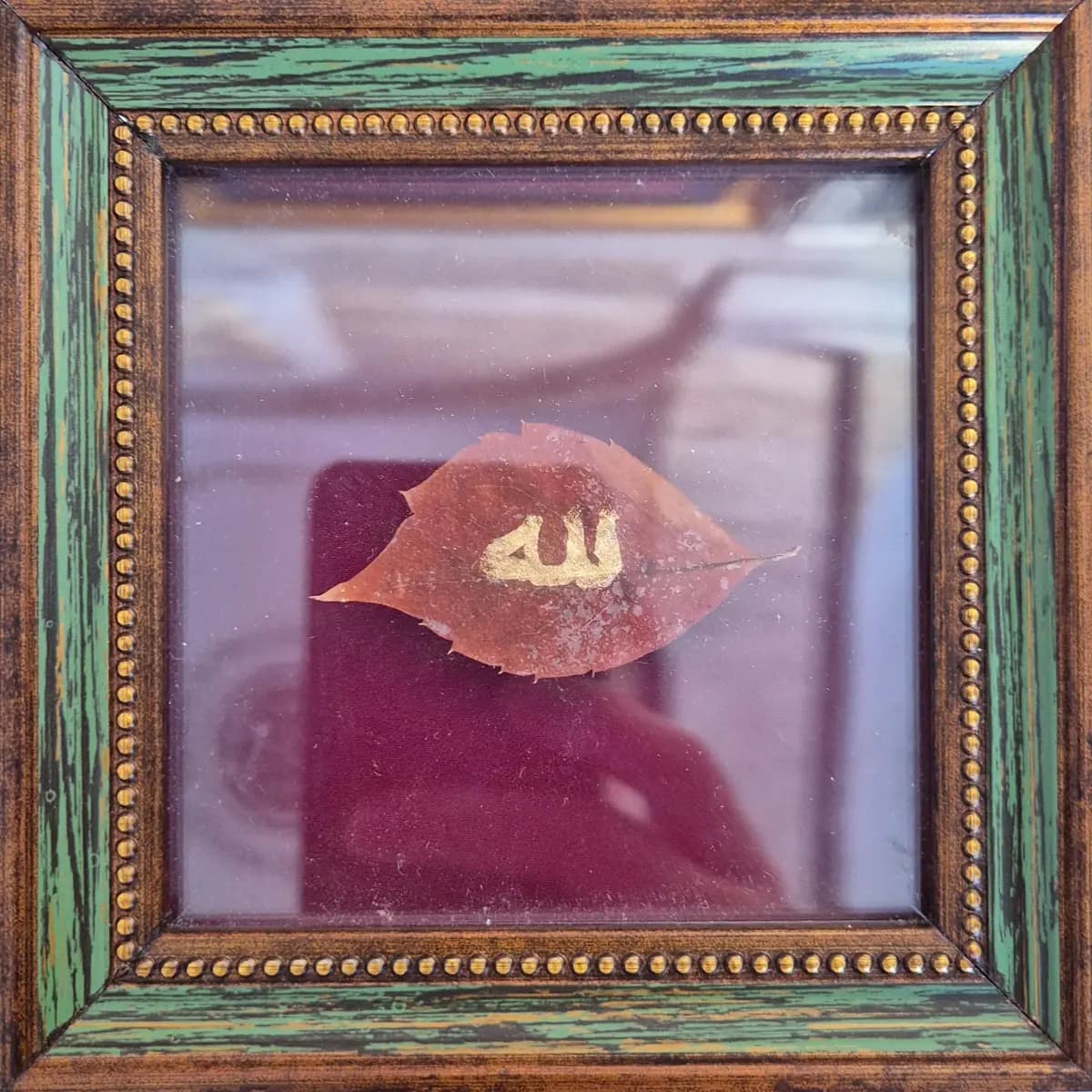 864- Safiye Akbaş