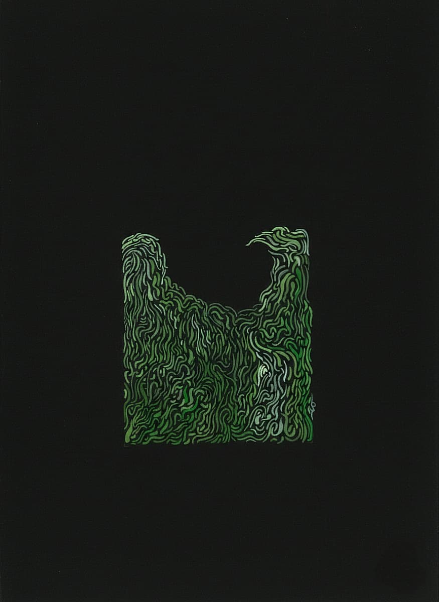 72- Fern