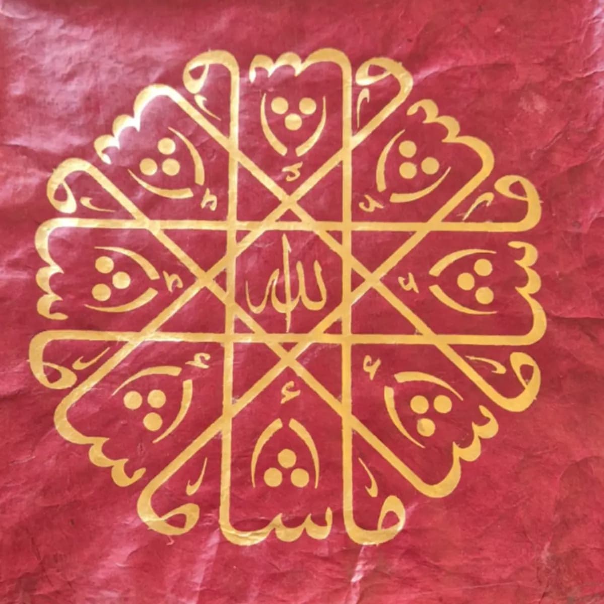 1157-Saliha Dil