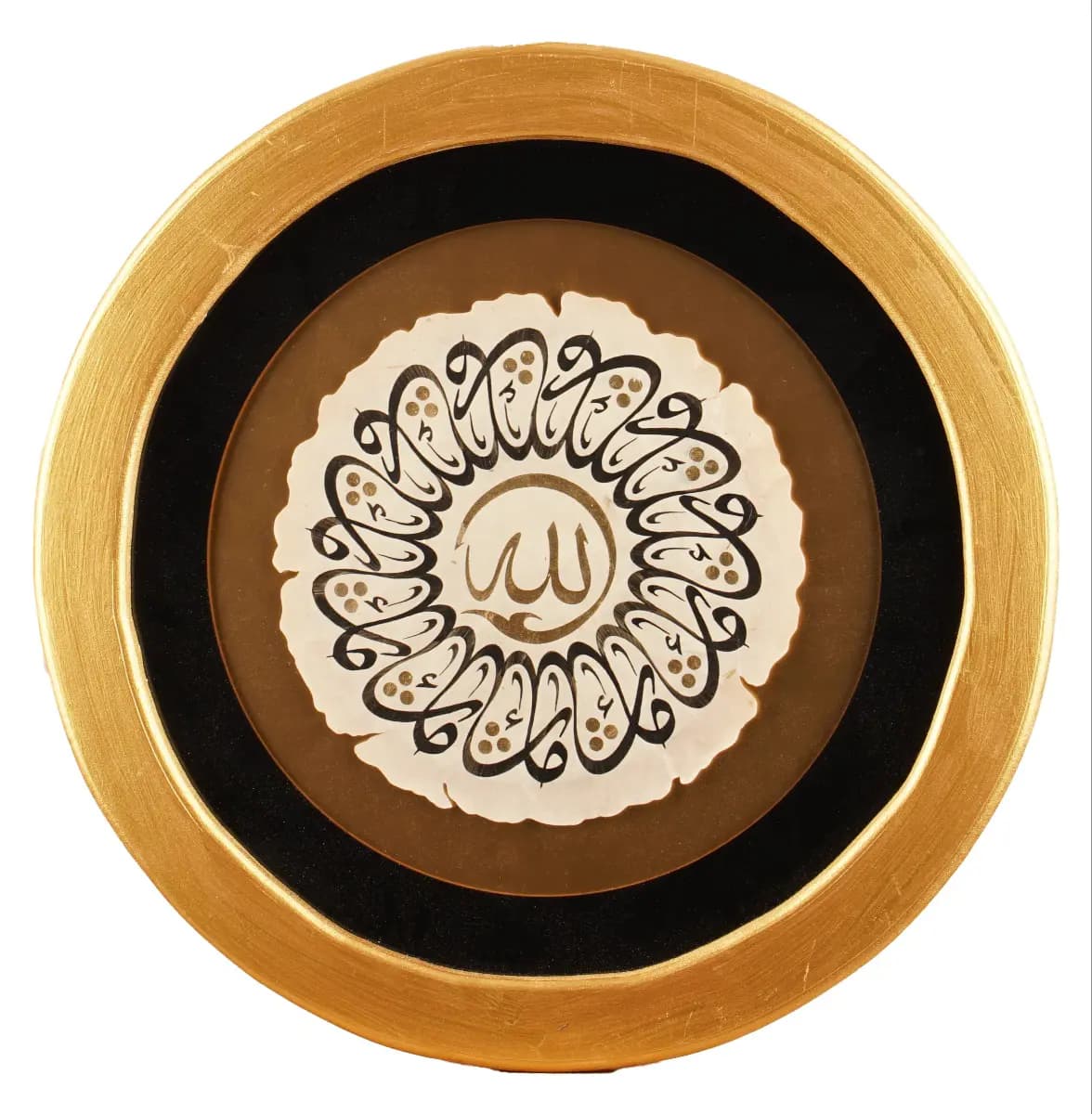 737- Saliha Dil