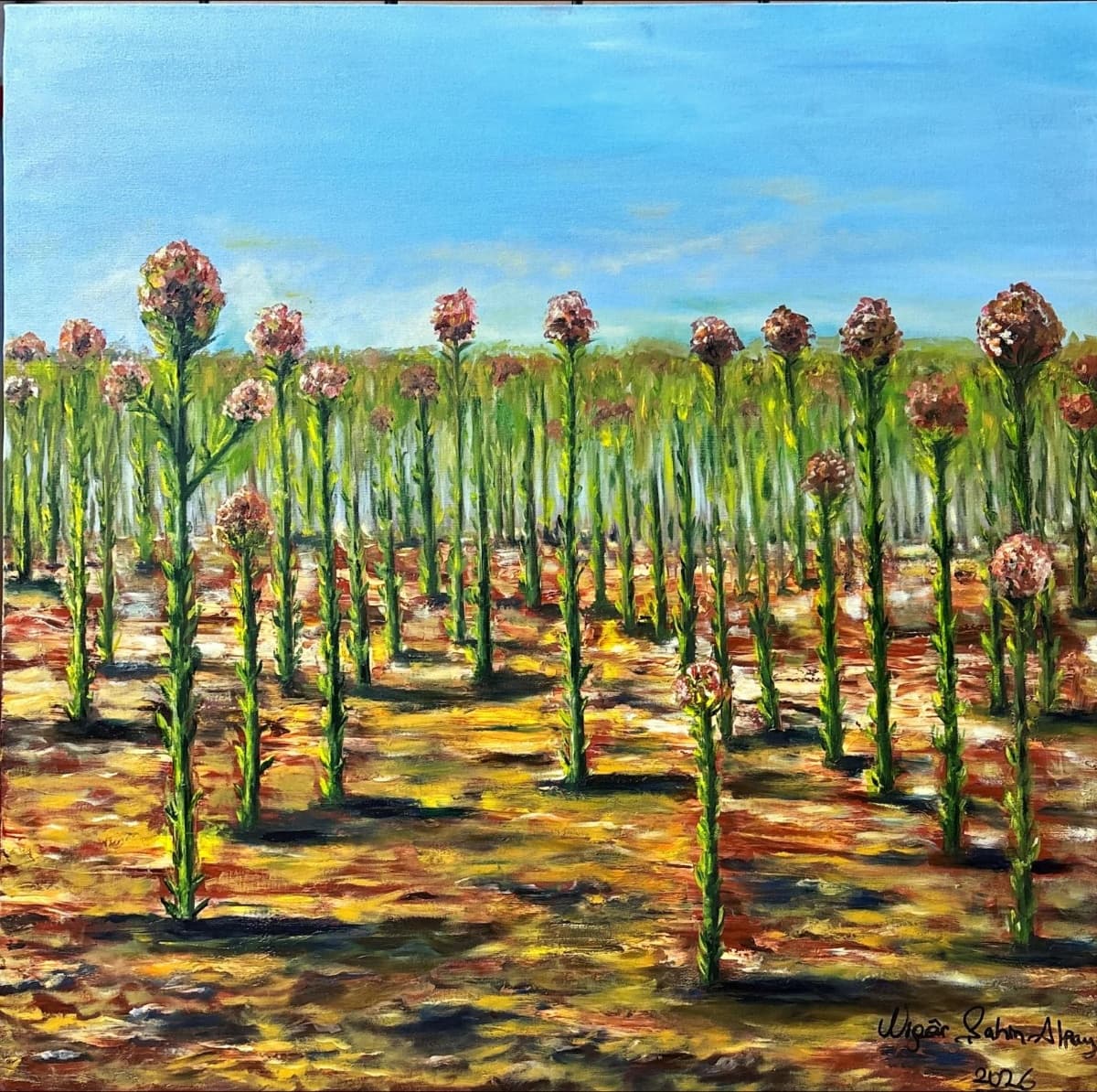 13- Tütün Tarlası