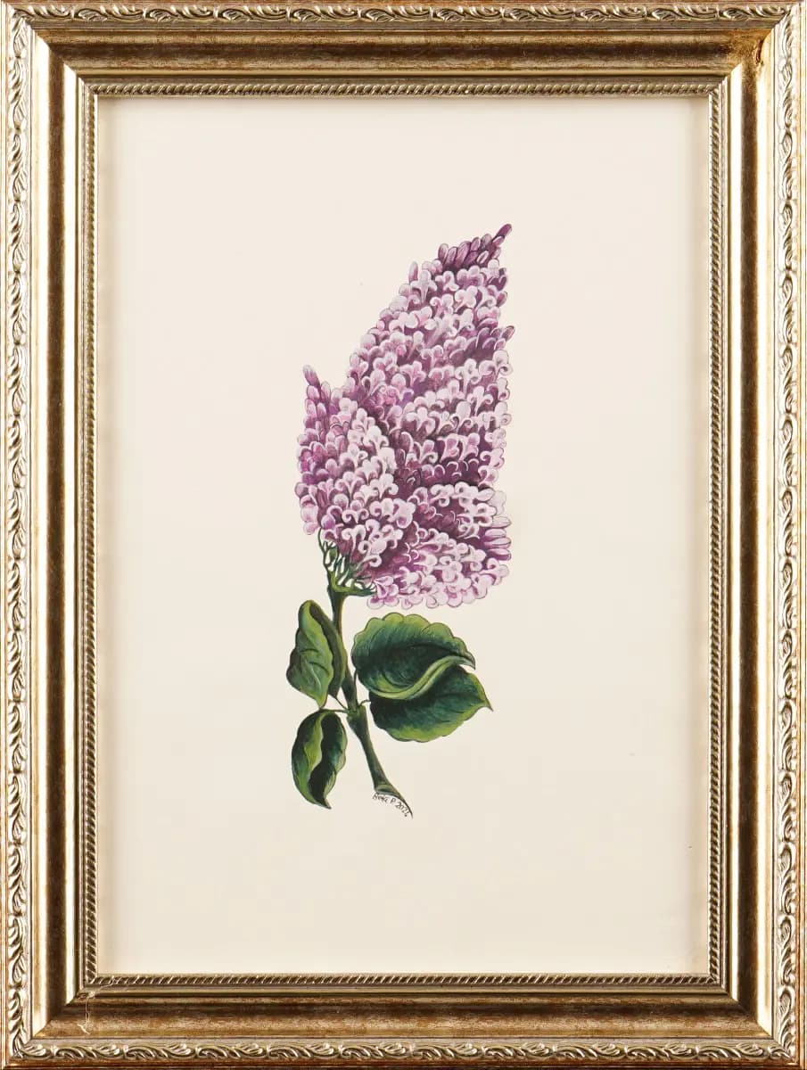 67-Betül Pehlivan