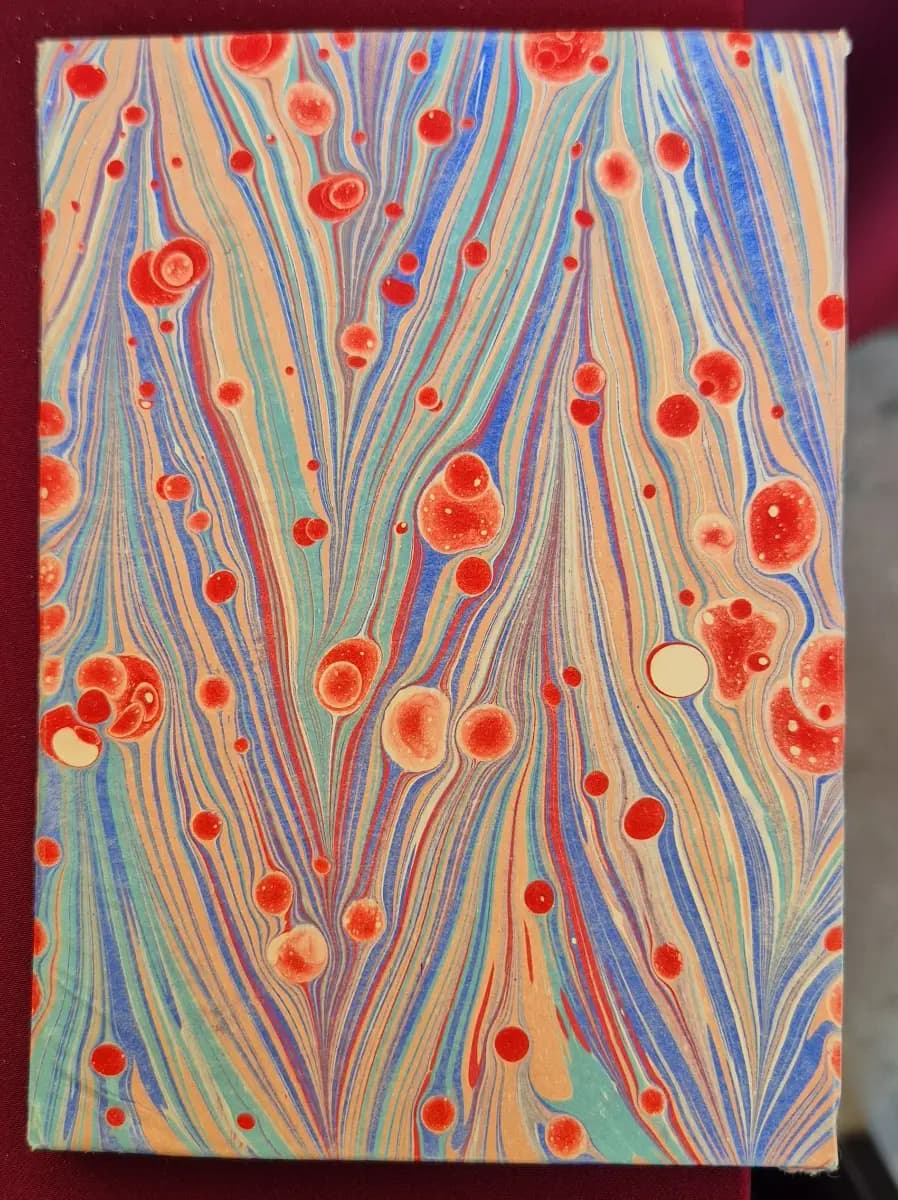 1141-Saliha Dil (Ebru Defter)