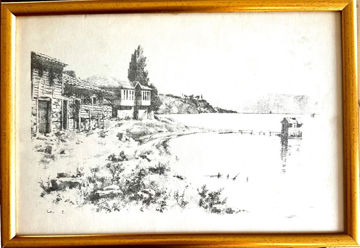 Hoca Ali Rıza