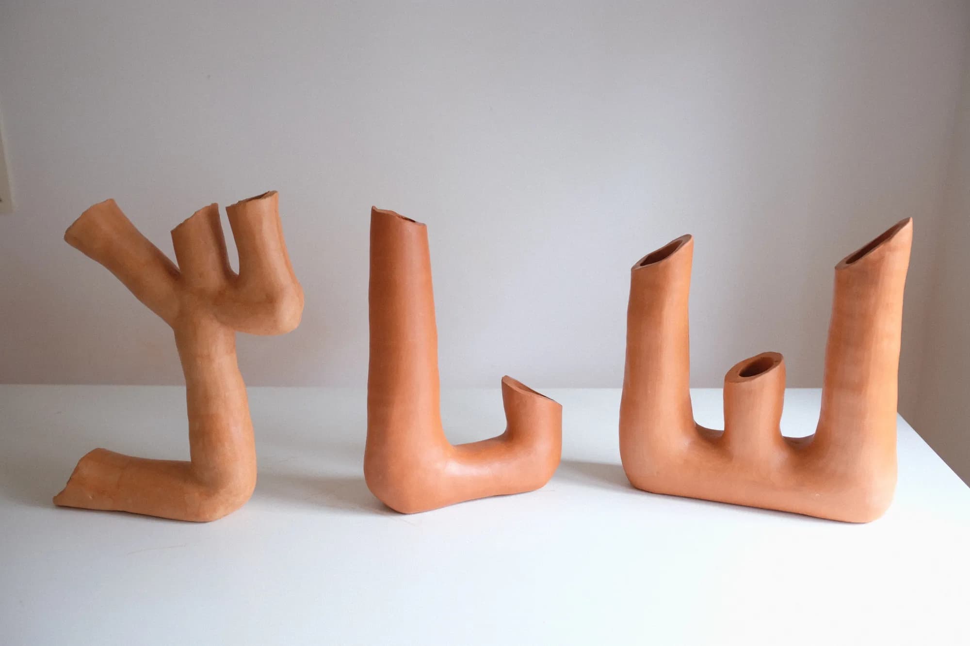 Bilmeyişin Zarafeti afişi