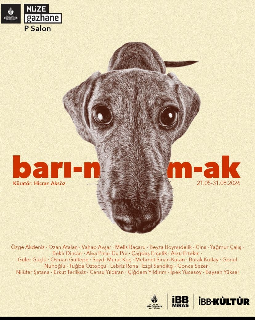 Barı-n/m-ak afişi