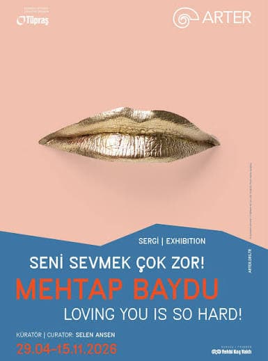 Seni Sevmek Çok Zor!