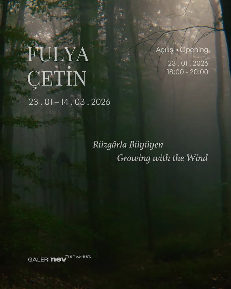 Rüzgârla Büyüyen afişi