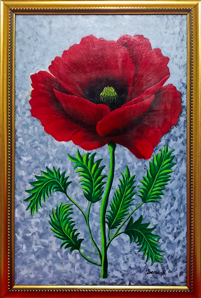 8- Solmayan Gelincik