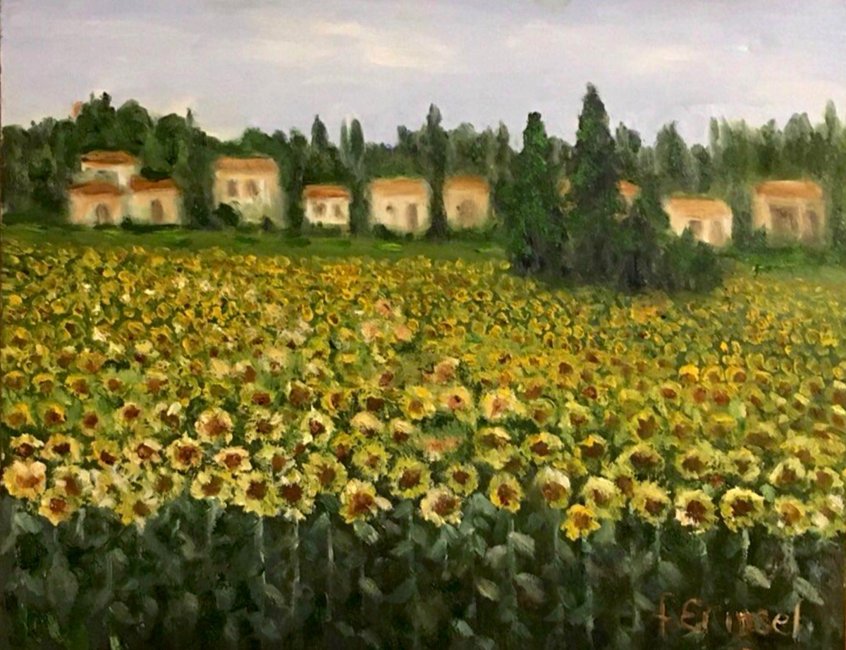 1- Ayçiçeği tarlası