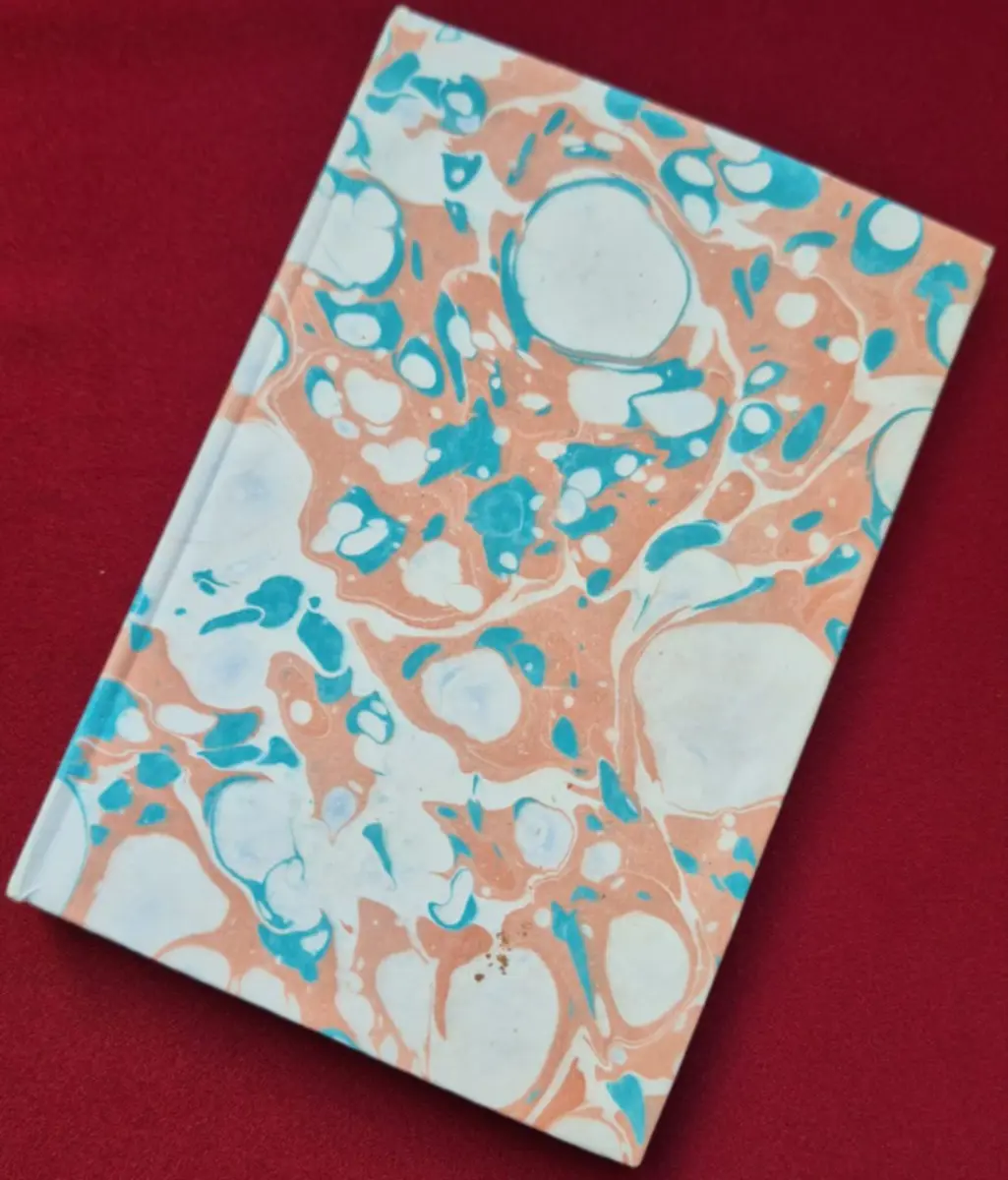 1135-Melis Sönmez (Ebru Defter)