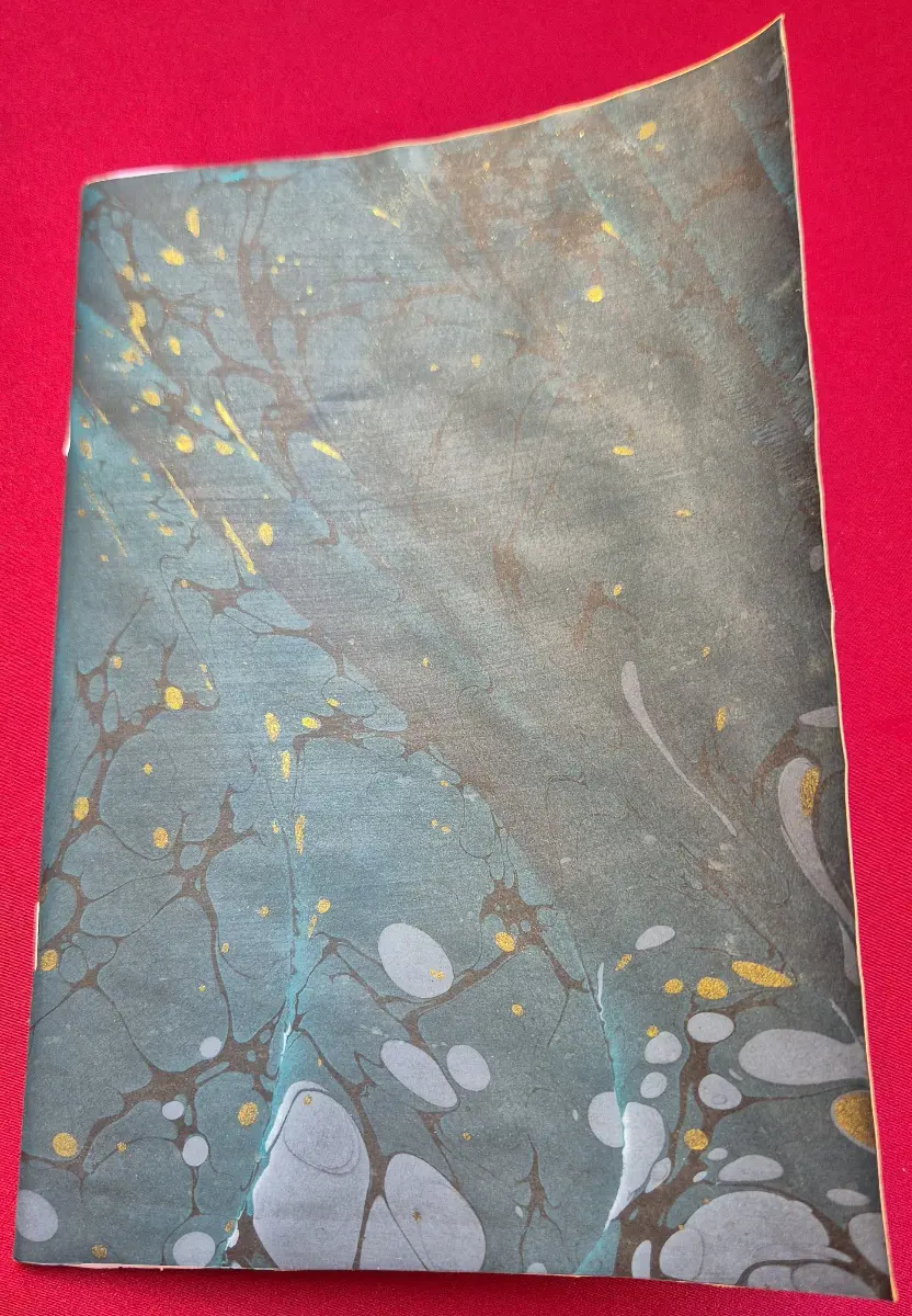 1091-Sümeyye Zarga (Ebru Defter)