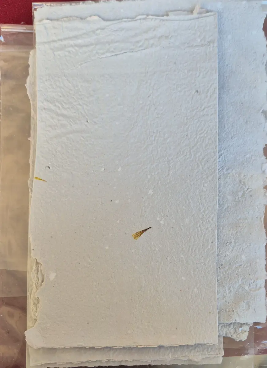 1151-Melis Sönmez (Kağıt-Adet Fiyatı)