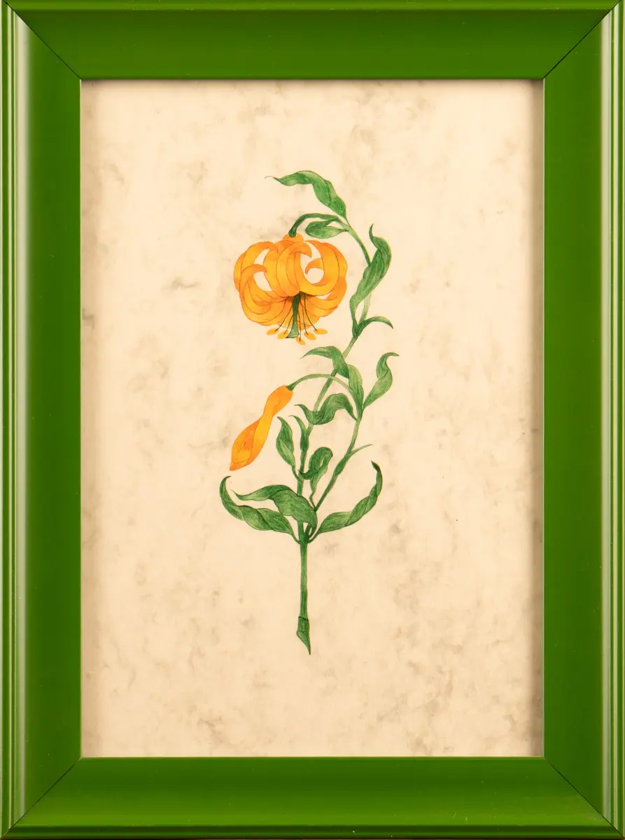 238-Ümmügülsüm Okka Demiral