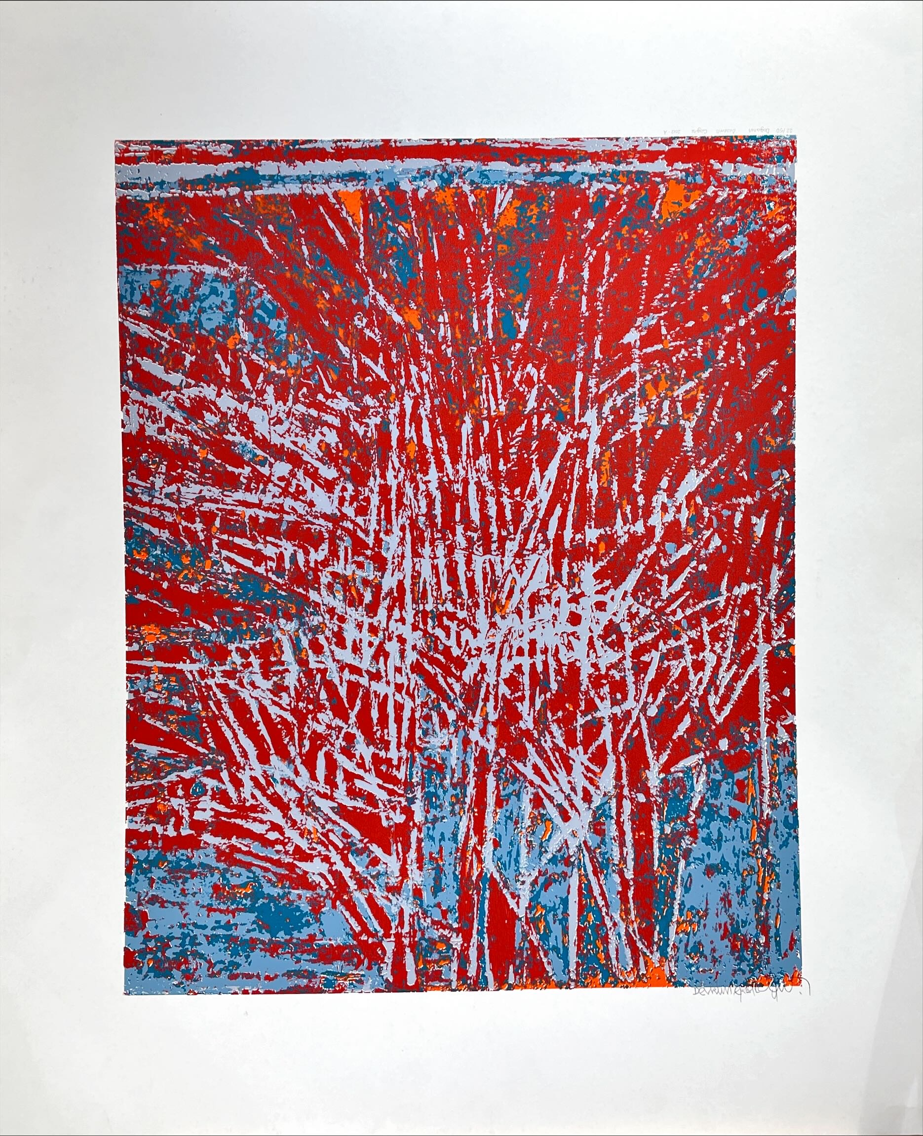 Devrim Erbil (Serigrafi Baskı)