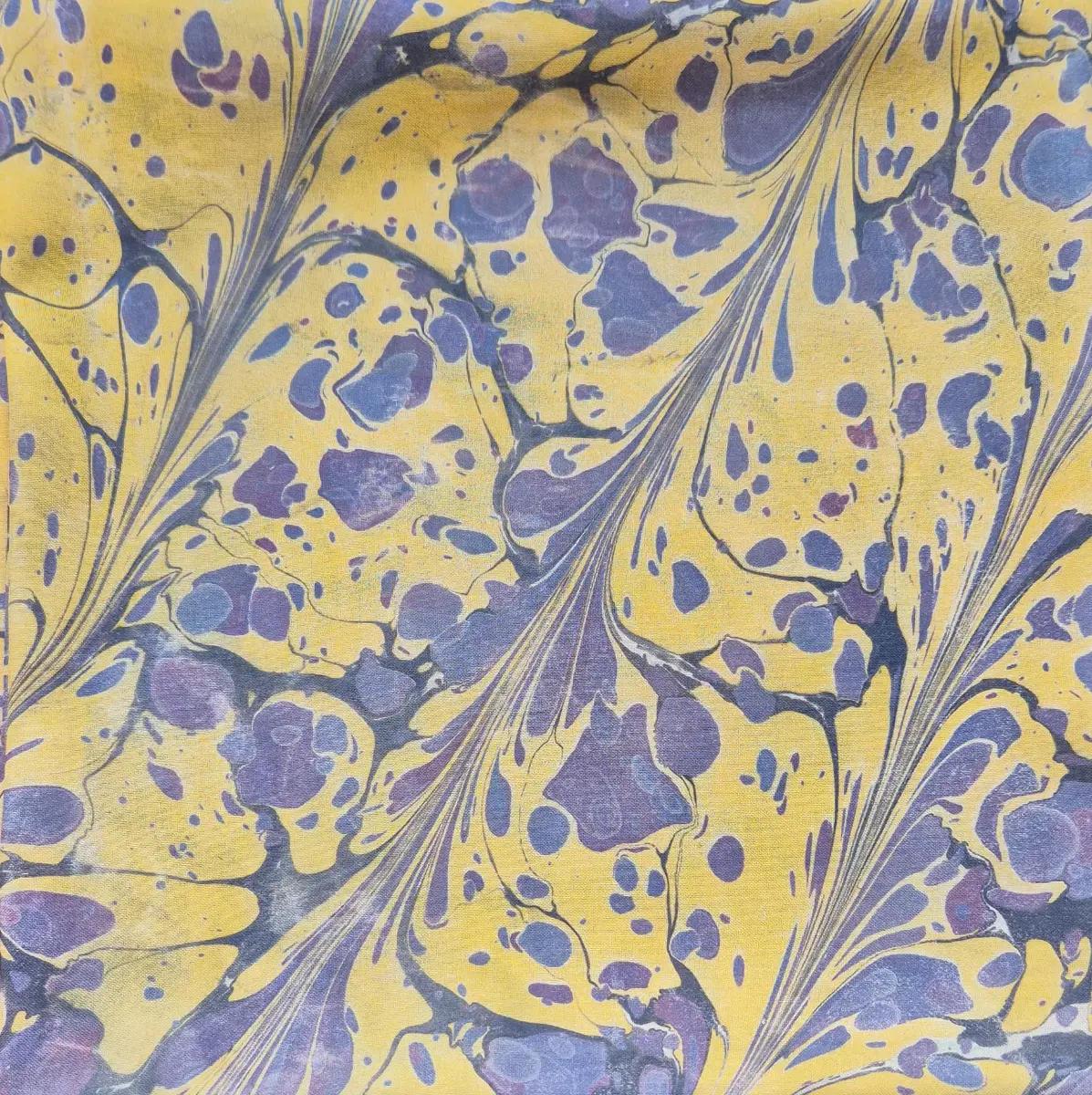 964-Sümeyye Zarga (Ebru Eşarp)