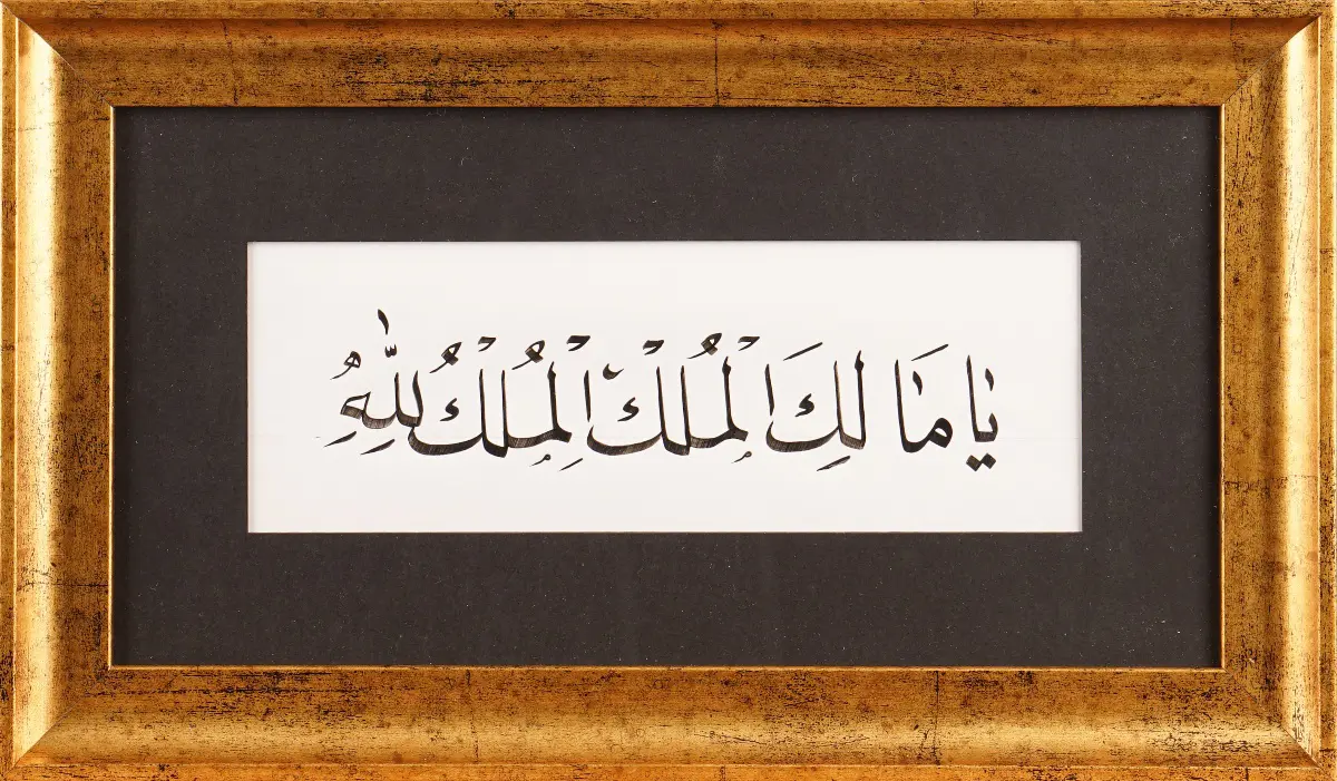 646- Abdurrahman Çelik