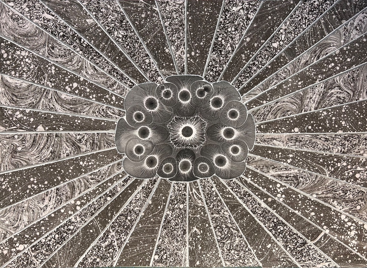 Işıldayan kaplan gözleri 