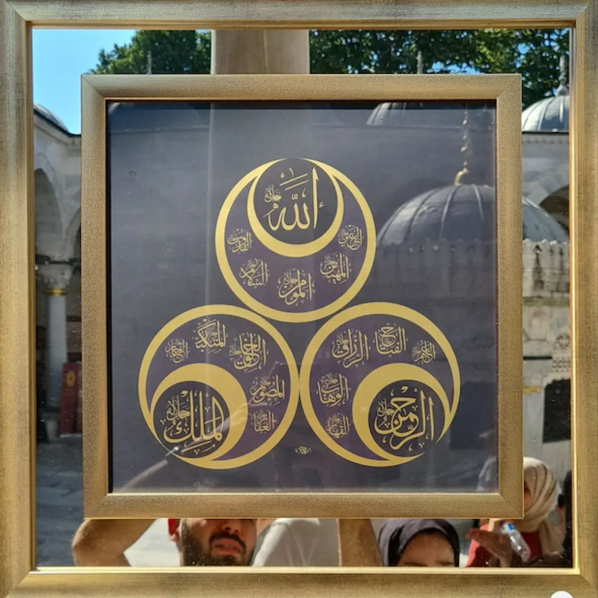 826- Fatma Sevin Düz