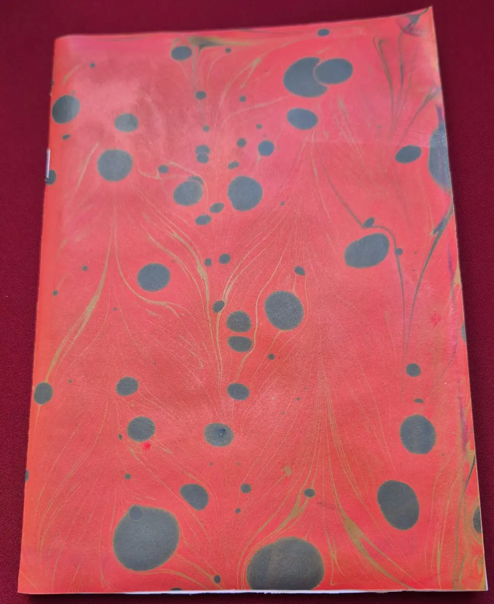 1049-Sümeyye Zarga (Ebru Defter)