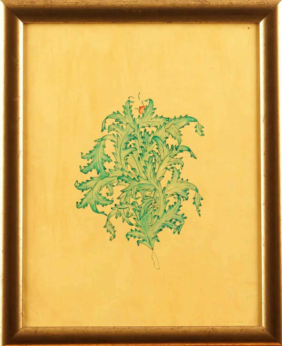 443- Nigar Şeyma Çambel Demir