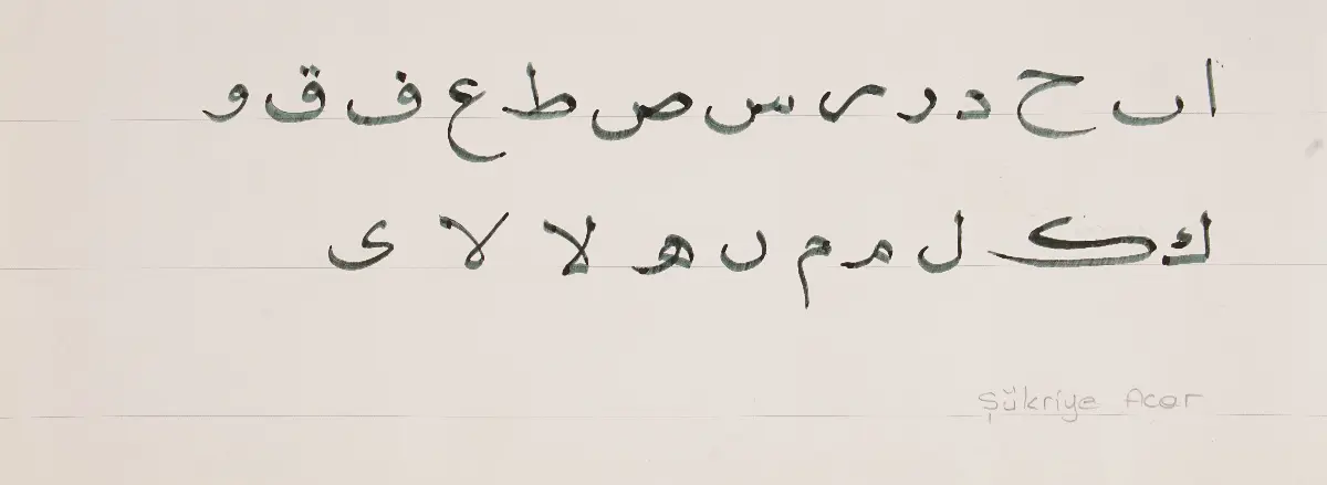 741- Şükriye Acar (Satışta Değil)