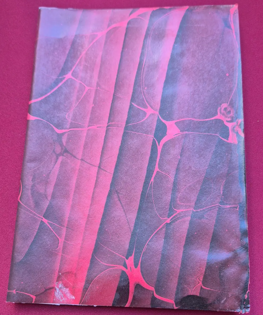 1081-Sümeyye Zarga (Ebru Defter)