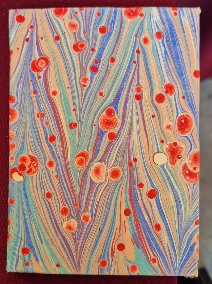 1141-Saliha Dil (Ebru Defter)