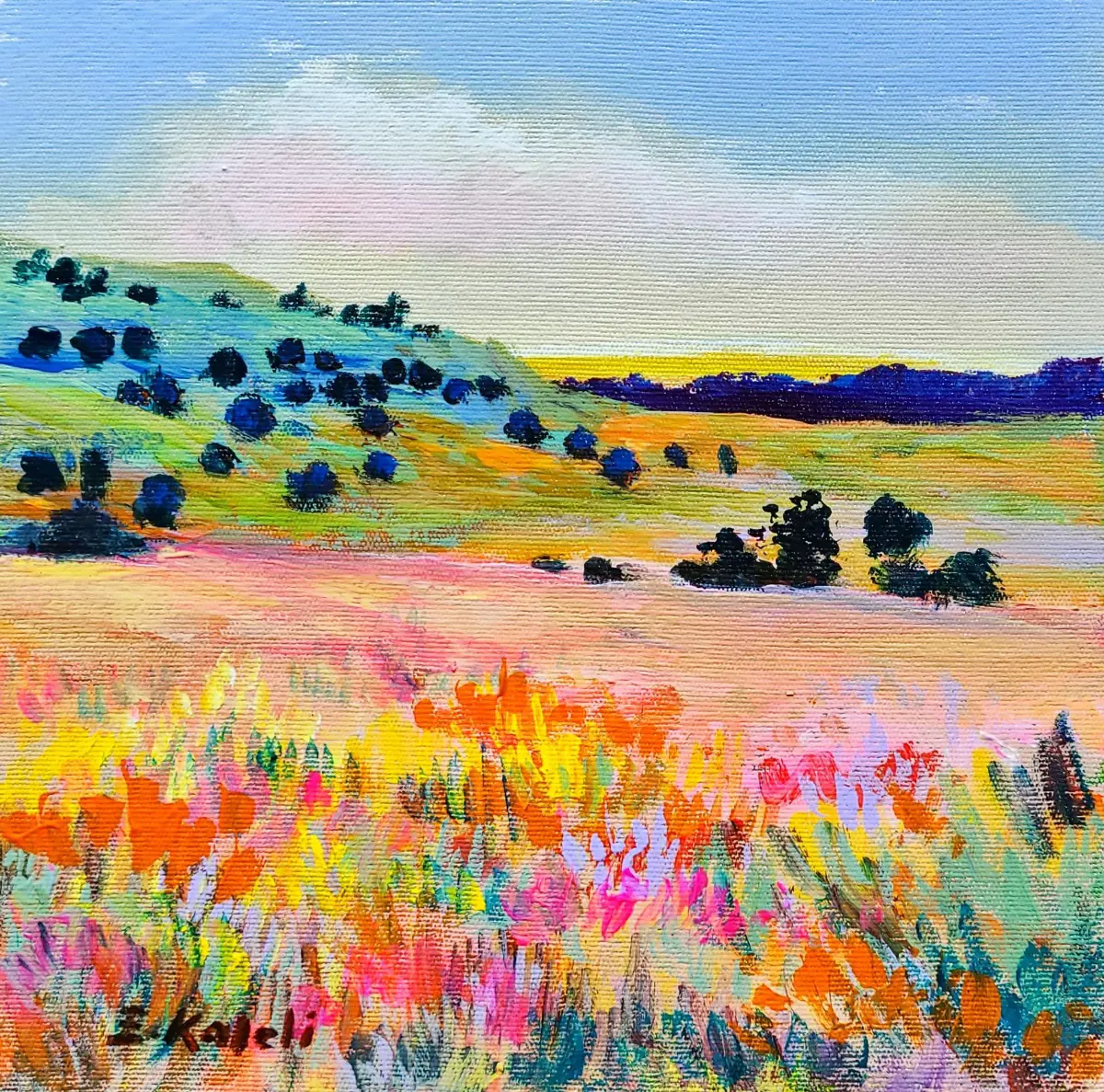 87- Renkli Çayırlar