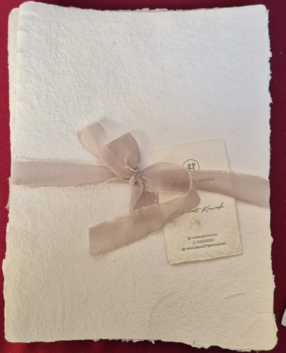 1147-Nebahat Kavak (Kağıt)