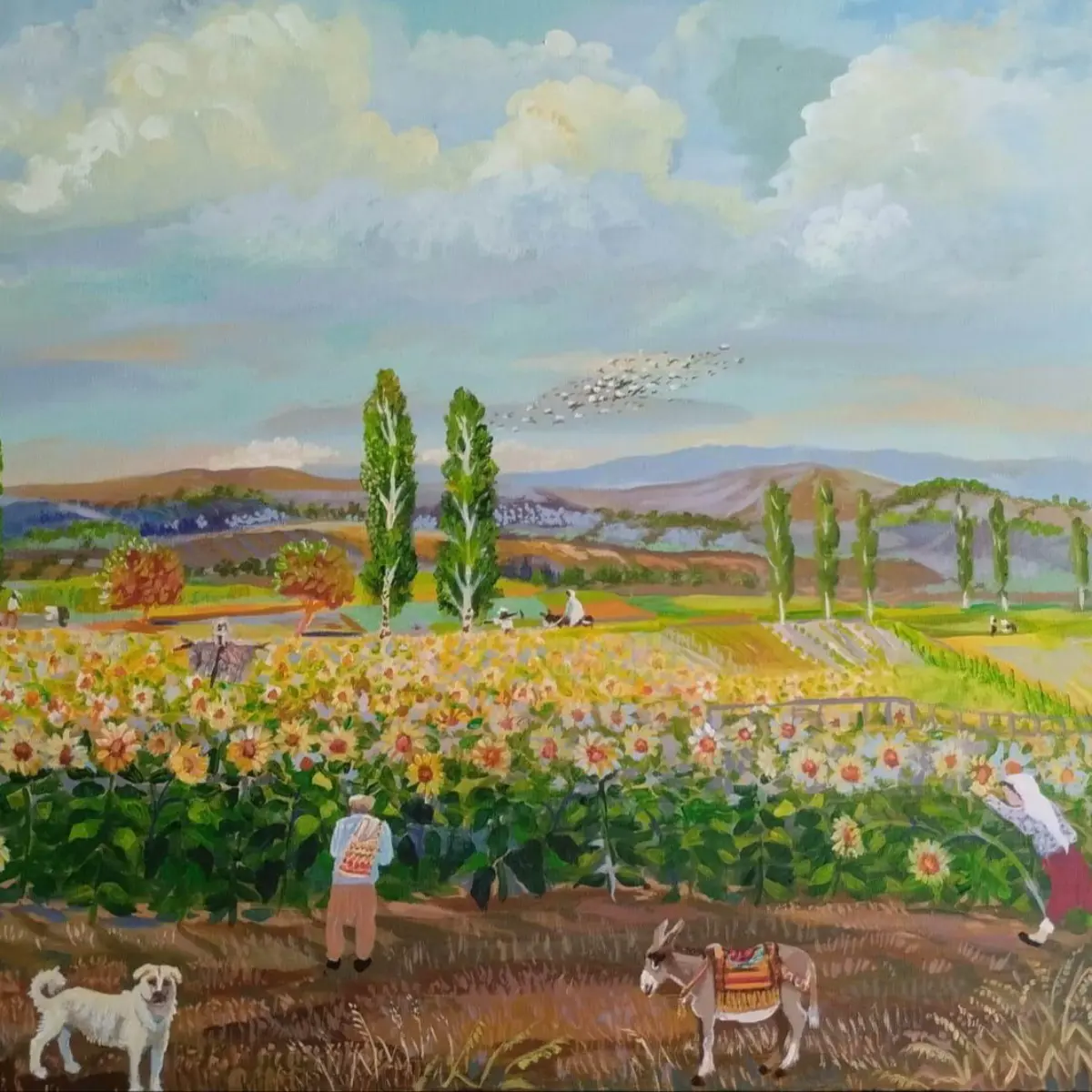 Ayçiçeği tarlaları 