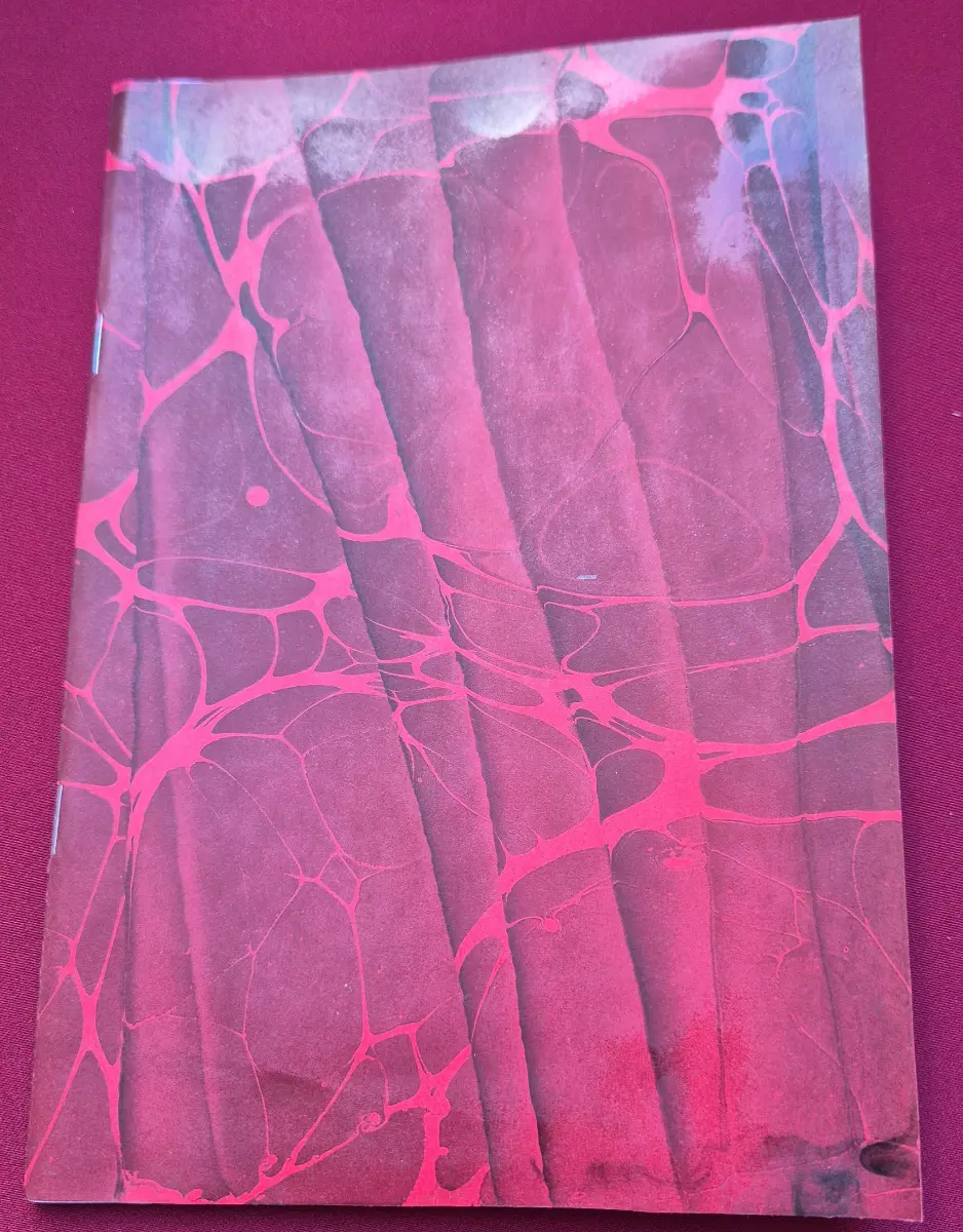 1116-Sümeyye Zarga (Ebru Defter)