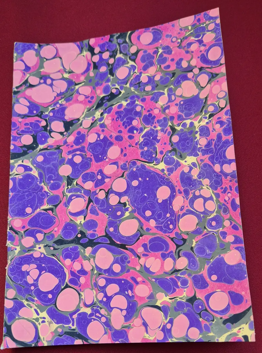 1079-Sümeyye Zarga (Ebru Defter)