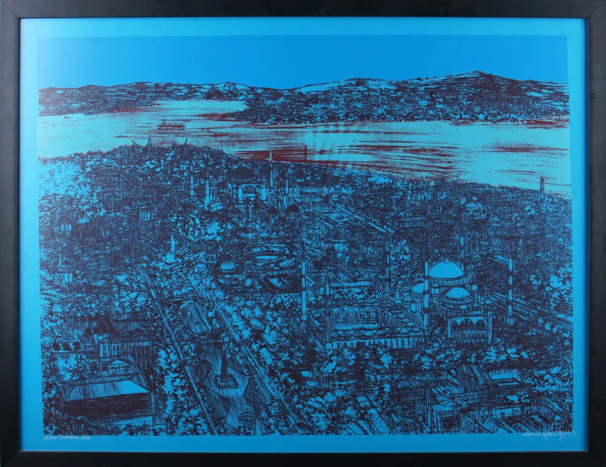 Devrim Erbil (SERİGRAFİ BASKI)