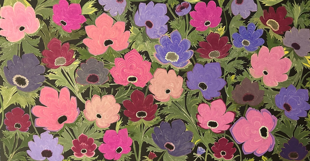 Anemon tarlası