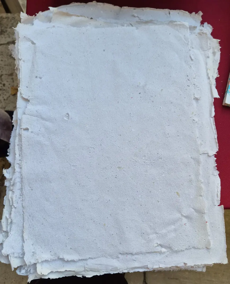 1137-Melis Sönmez (Büyük Boy Kağıt-Adet Fiyatı)