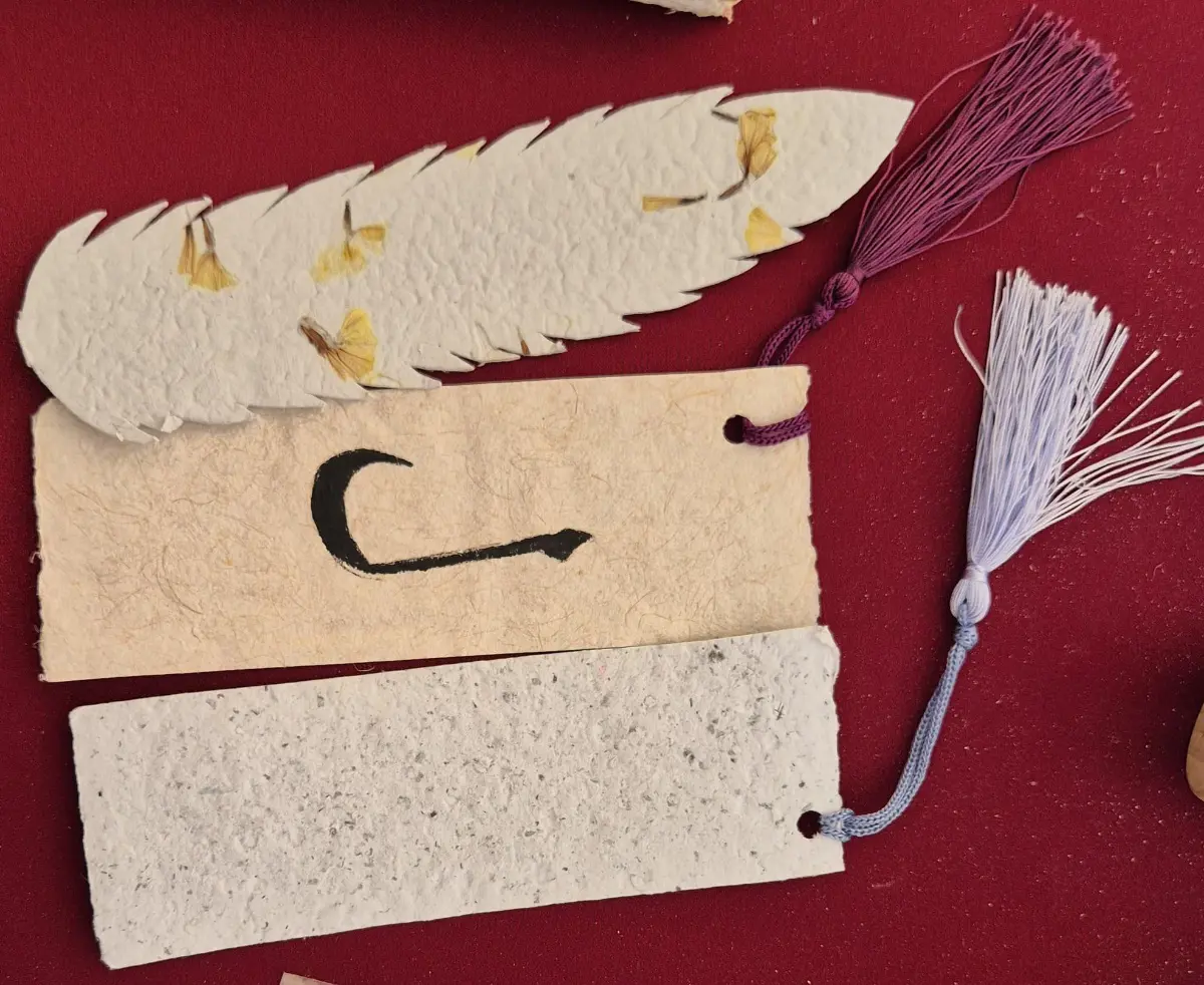 1140-Melis Sönmez (Ayraç-Adet Fiyatı)