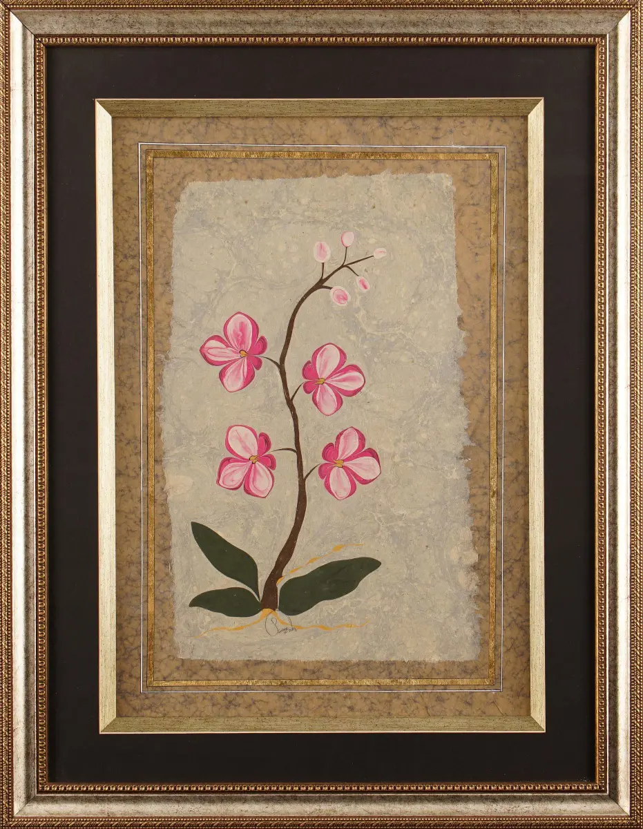 525- Sümeyye Zarga