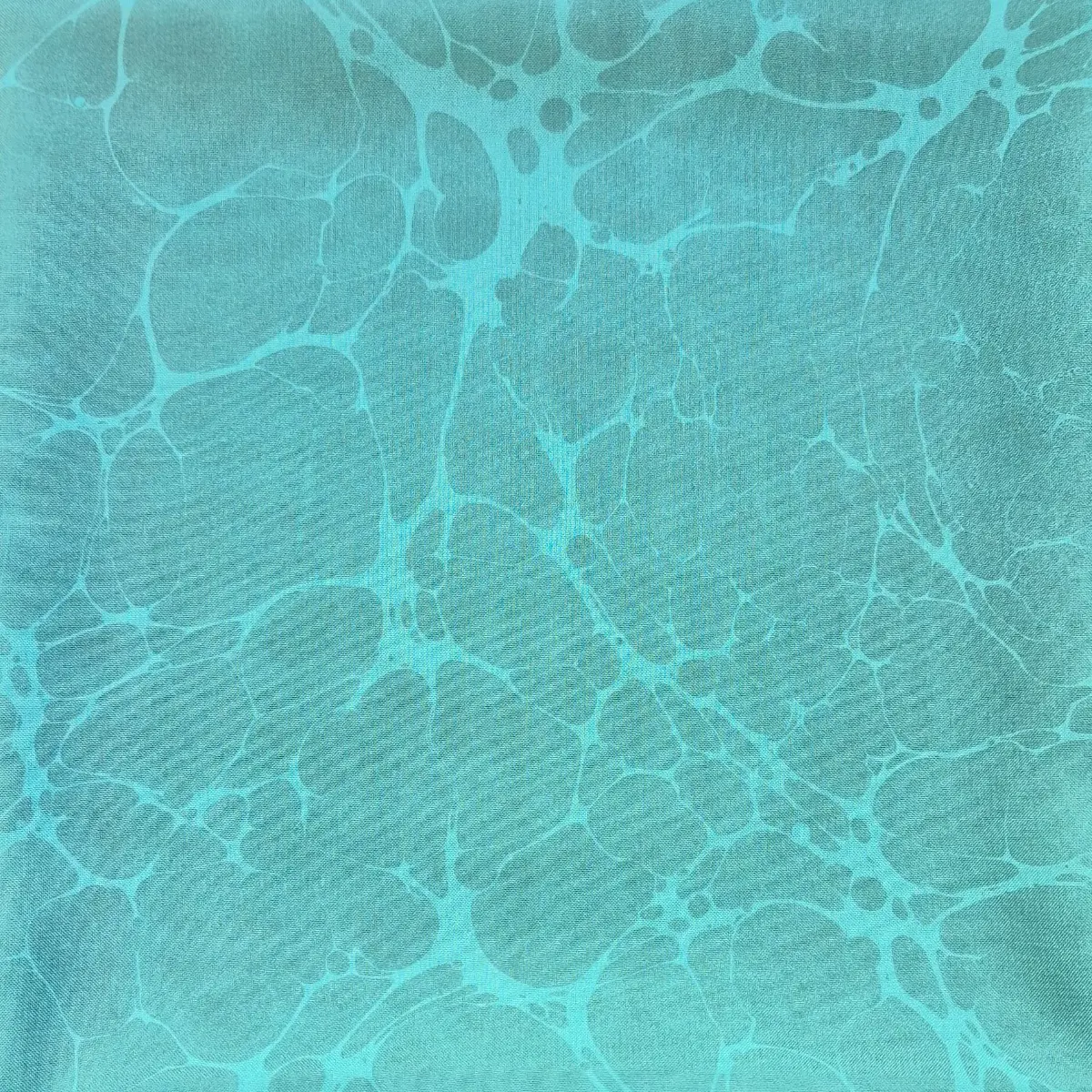 965-Sümeyye Zarga (Ebru Eşarp)