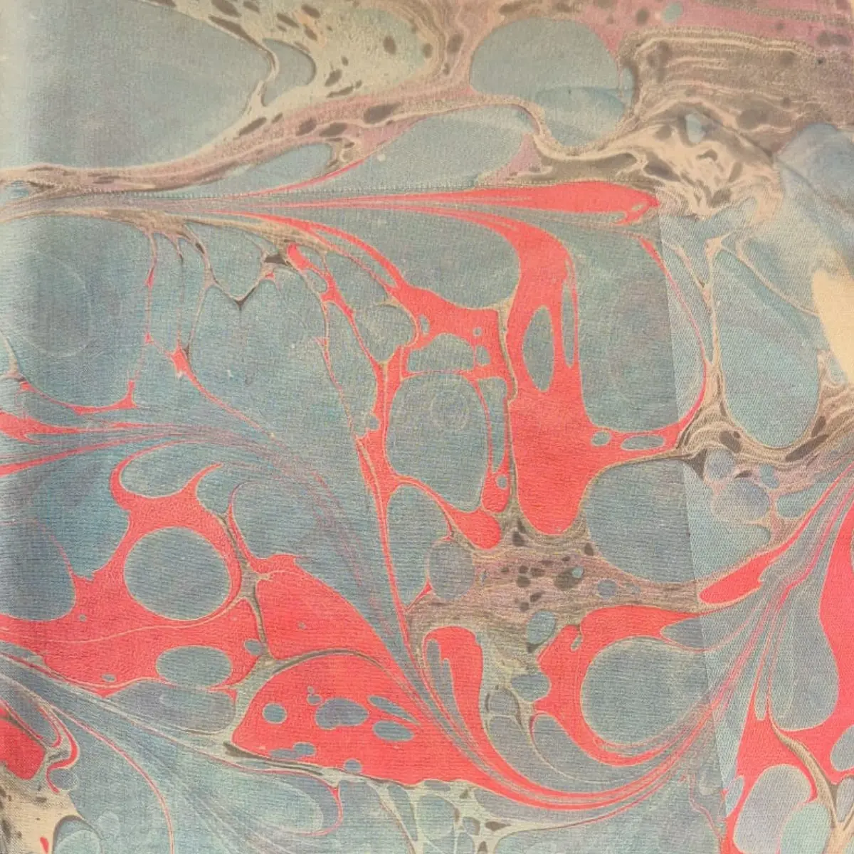 971-Sümeyye Zarga (Ebru Eşarp)