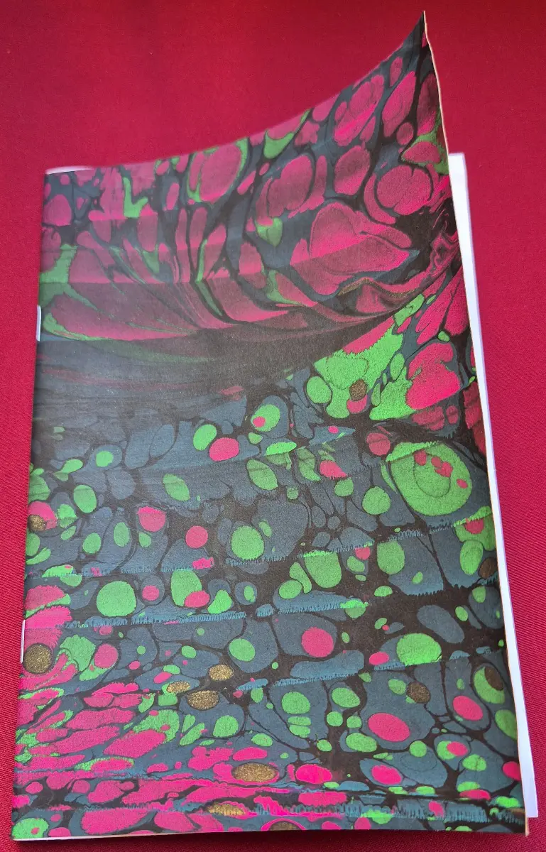 1067-Sümeyye Zarga (Ebru Defter)