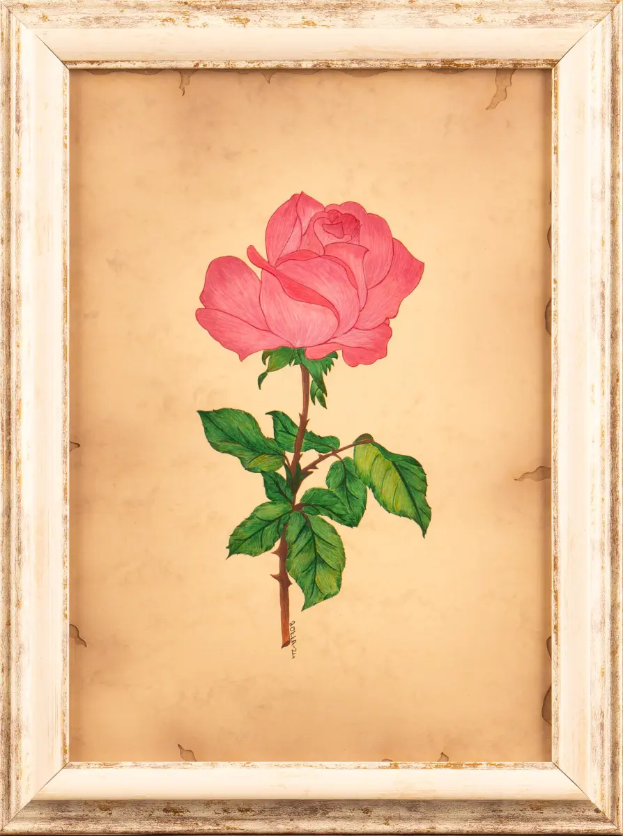 241-Ümmügülsüm Okka Demiral