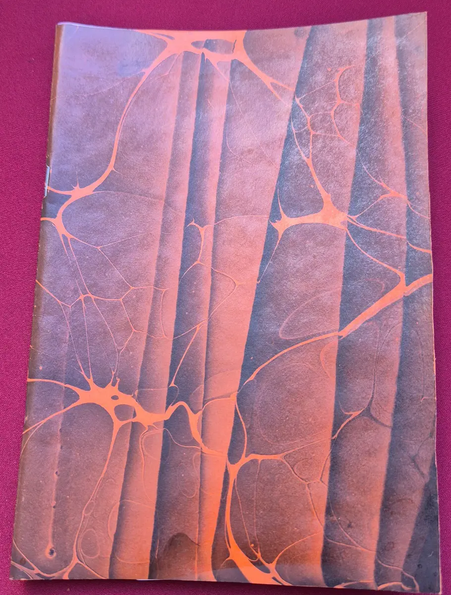 1086-Sümeyye Zarga (Ebru Defter)