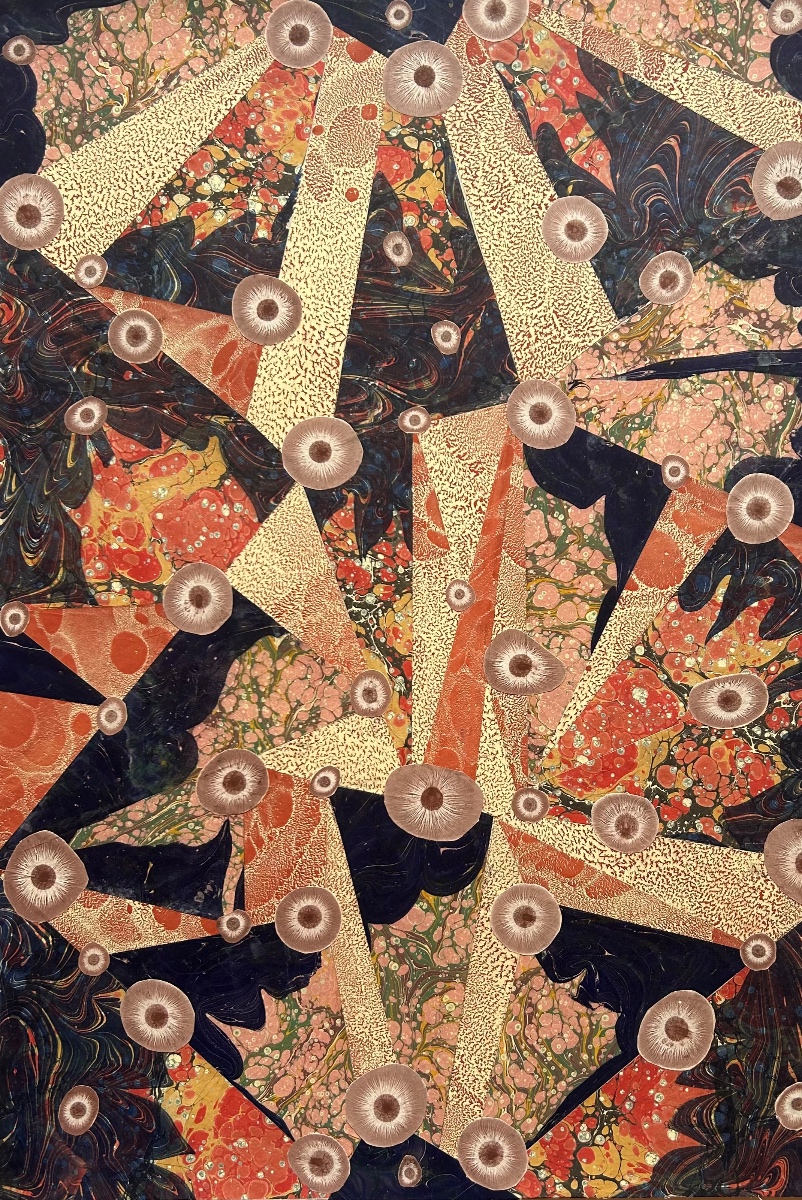 57- Ormandaki Kaplan Gözleri